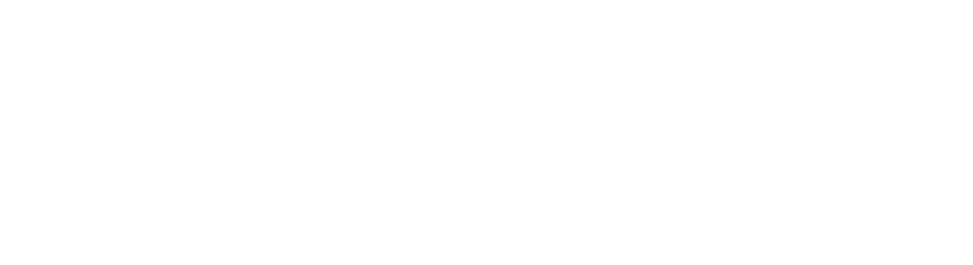 Logo Autohaus Dippel weiß